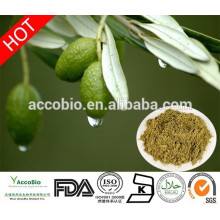 100% natural olive leaf extract/Olive leaf Extract Oleuropein 40% /Olive Seed Extract